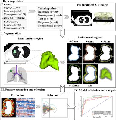 Predicting chemotherapy response in non-small-cell lung cancer via computed tomography radiomic features: Peritumoral, intratumoral, or combined?